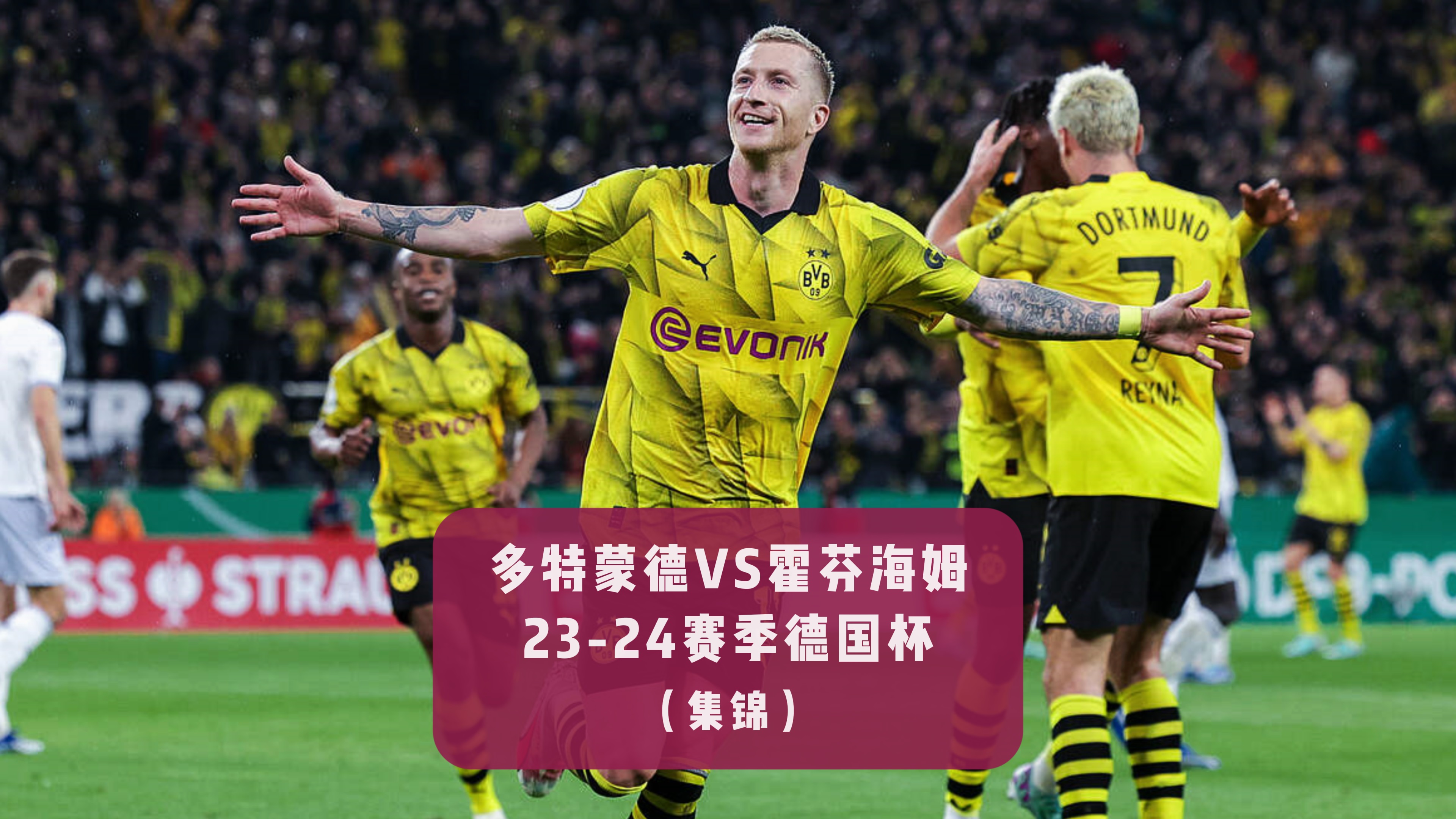 关于霍芬海姆客场逆袭，豪取赛季首胜的信息