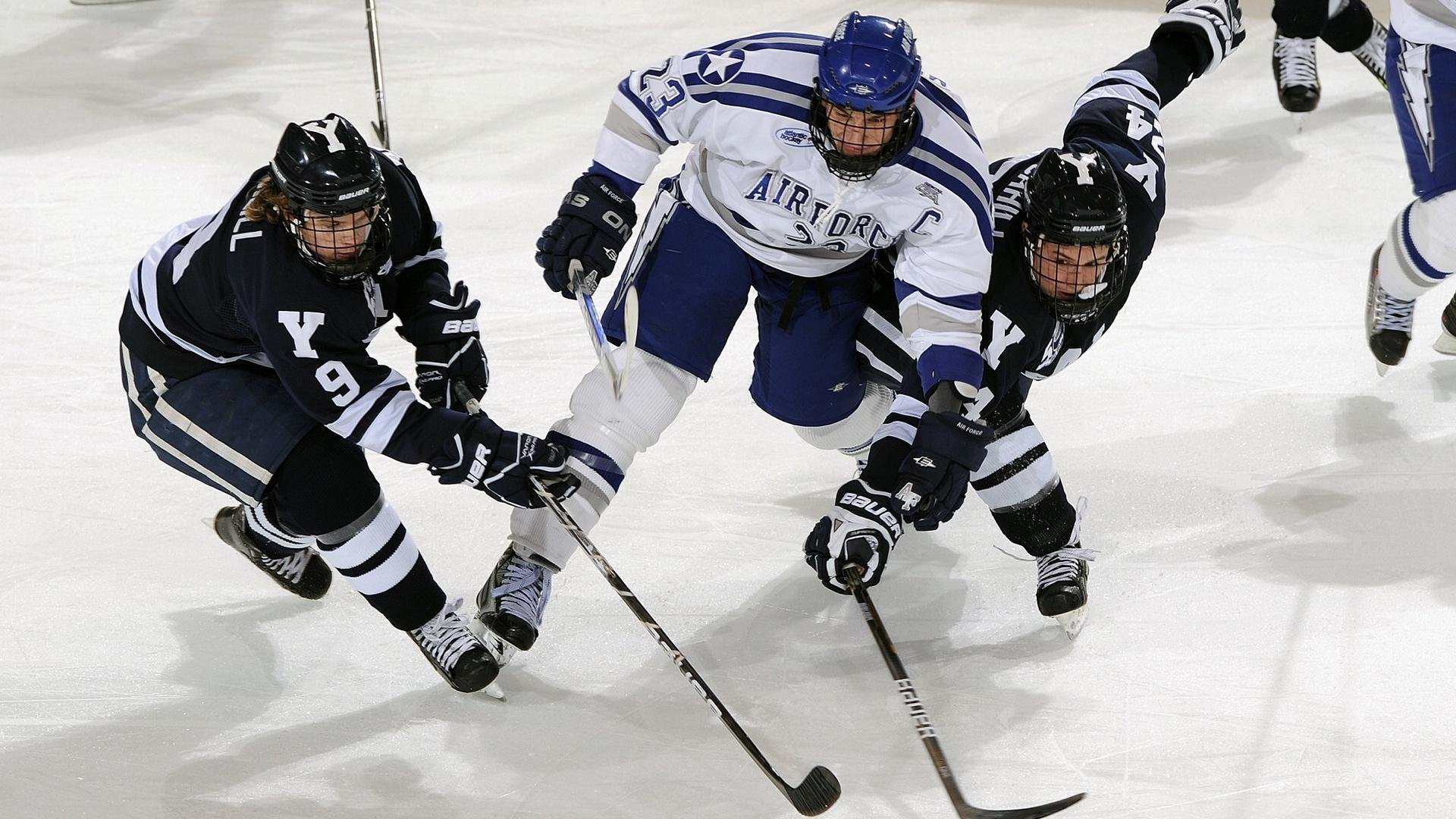 当东北虎遇见水鸟,塔图姆跨时空点燃的辽篮精神之战